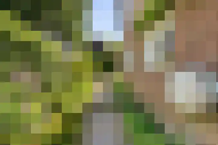 Zweedseplein 6 Abbenbroek thumbnail 28