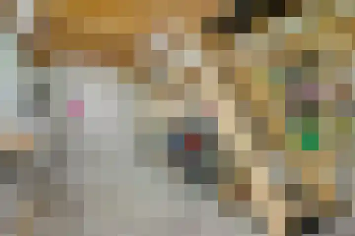 Zweedseplein 6 Abbenbroek thumbnail 30