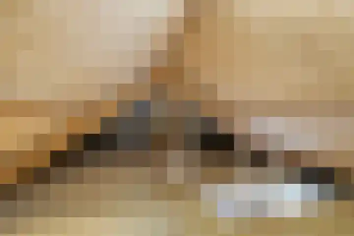 Zweedseplein 6 Abbenbroek thumbnail 33
