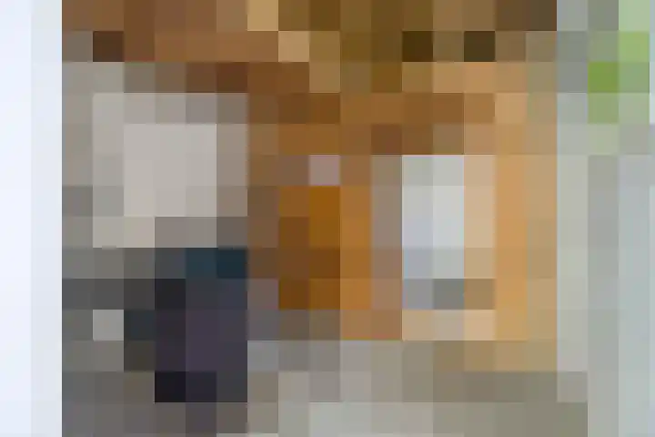 Zweedseplein 6 Abbenbroek thumbnail 34
