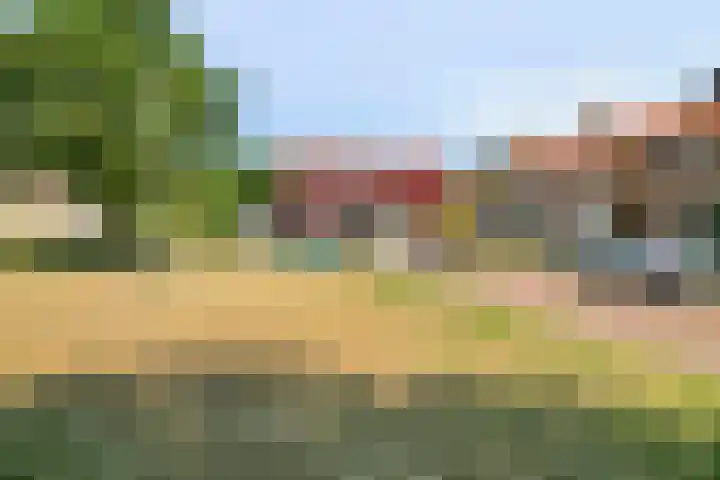 Zweedseplein 6 Abbenbroek thumbnail 37