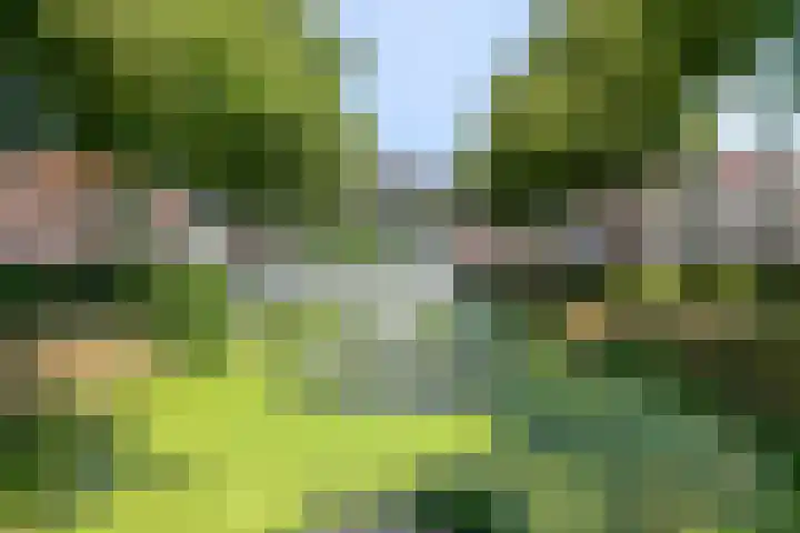 Zweedseplein 6 Abbenbroek thumbnail 38