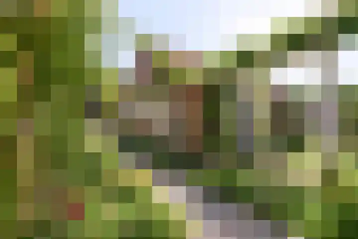Zweedseplein 6 Abbenbroek thumbnail 4