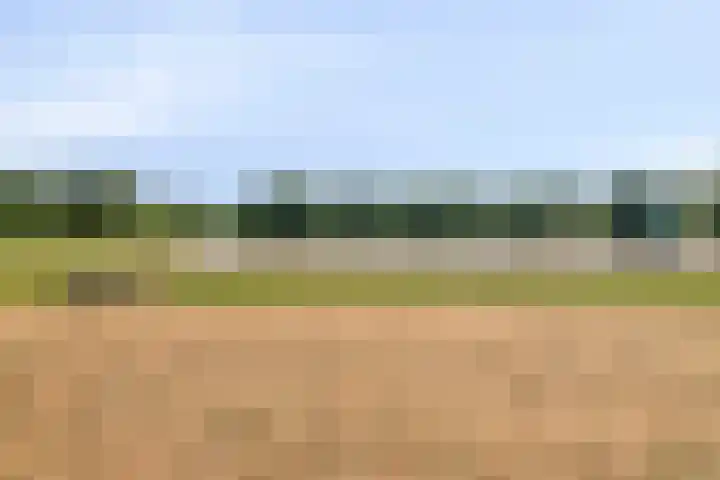 Zweedseplein 6 Abbenbroek thumbnail 41