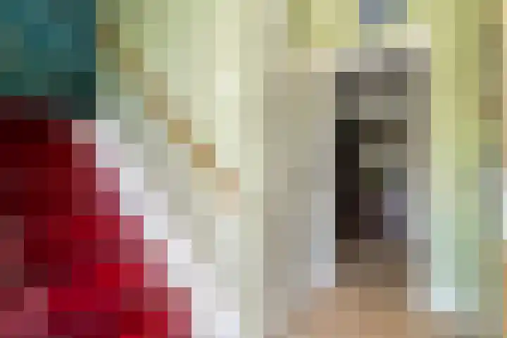 Zweedseplein 6 Abbenbroek thumbnail 5