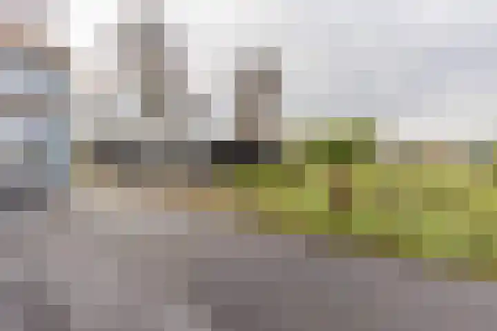 Zweedsestraat 1 's-Gravendeel thumbnail 33
