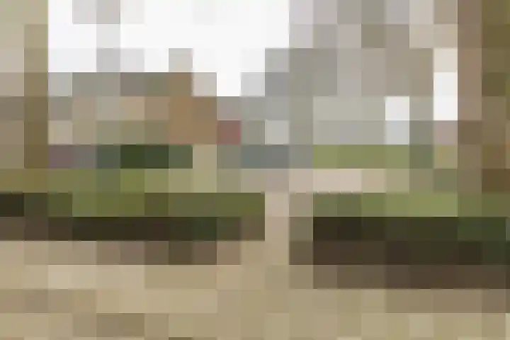 Zweedsestraat 1 's-Gravendeel thumbnail 34