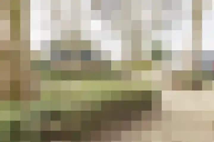 Zweedsestraat 1 's-Gravendeel thumbnail 35