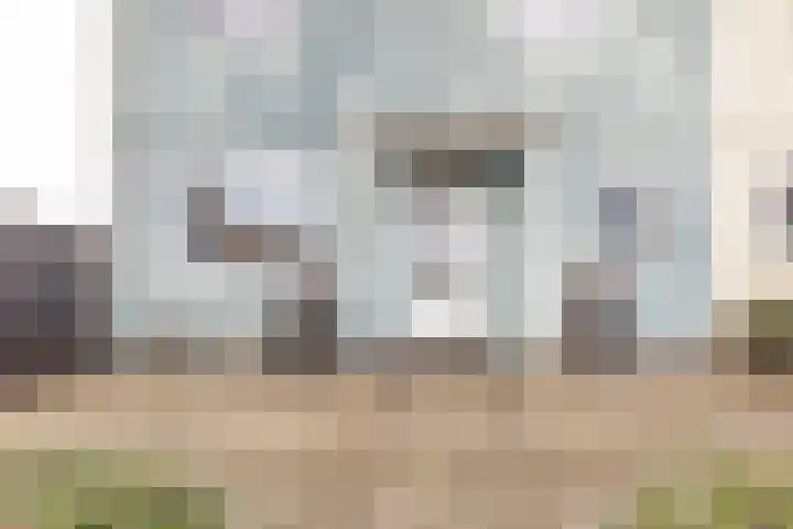 Zweedsestraat 1 's-Gravendeel thumbnail 37