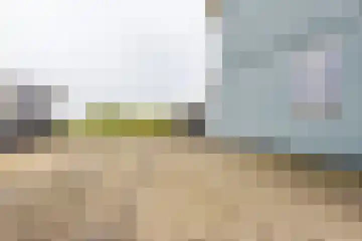 Zweedsestraat 1 's-Gravendeel thumbnail 39