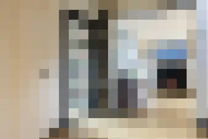 Zweedsestraat 1 's-Gravendeel thumbnail 5