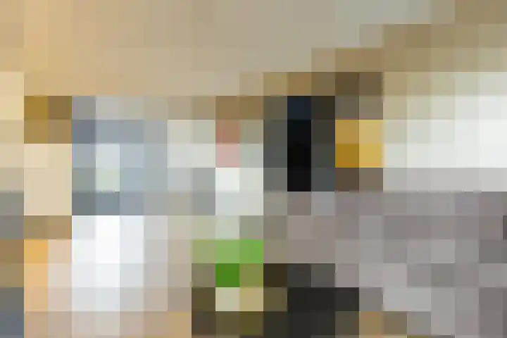 Zweedsestraat 1 's-Gravendeel thumbnail 7