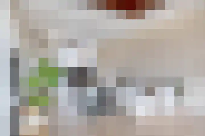Zweedsestraat 111 B 01 Rotterdam thumbnail 10