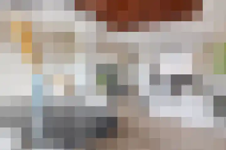 Zweedsestraat 111 B 01 Rotterdam thumbnail 11