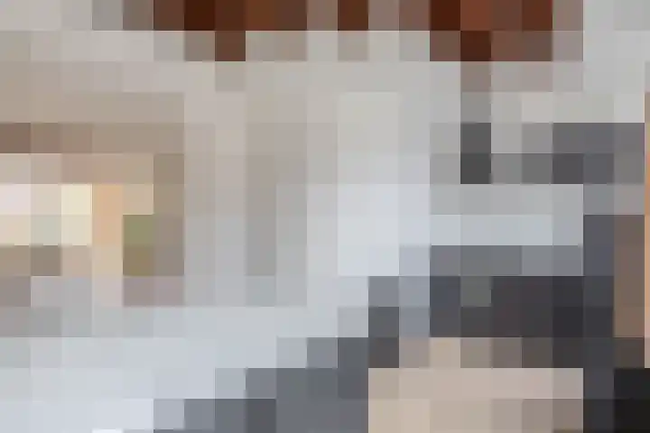 Zweedsestraat 111 B 01 Rotterdam thumbnail 15