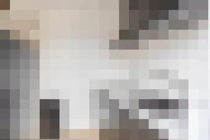 Zweedsestraat 111 B 01 Rotterdam thumbnail 18