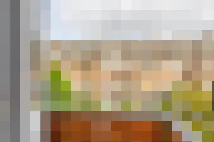 Zweedsestraat 111 B 01 Rotterdam thumbnail 20