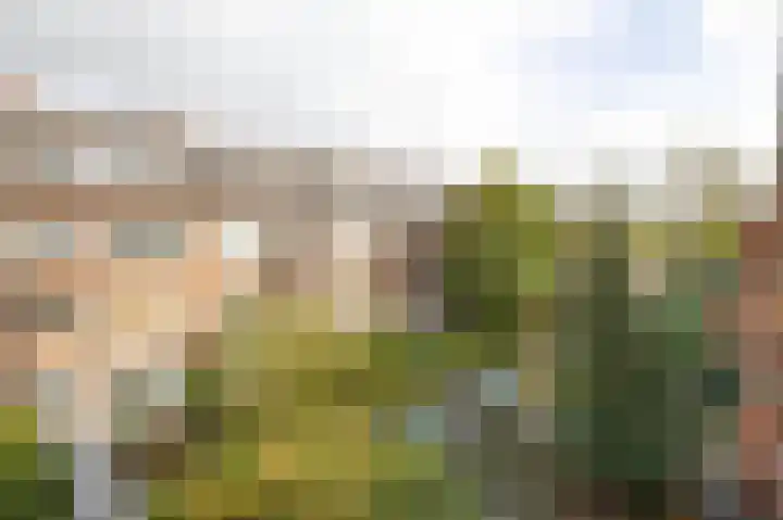 Zweedsestraat 111 B 01 Rotterdam thumbnail 21