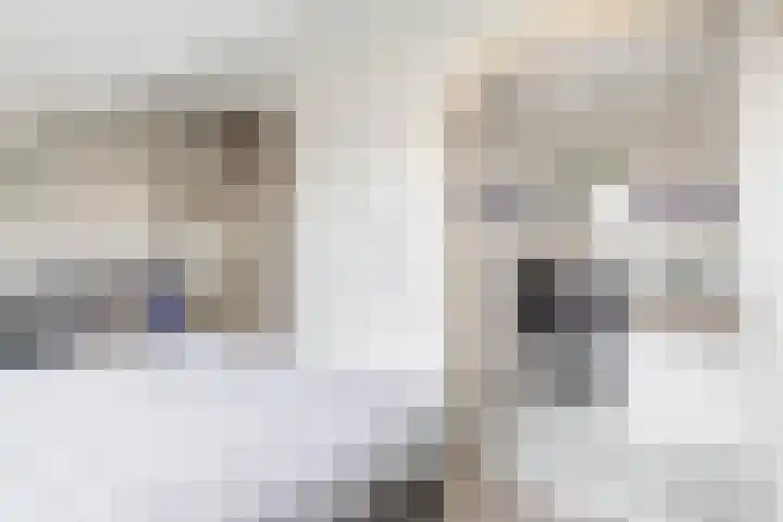 Zweedsestraat 111 B 01 Rotterdam thumbnail 29