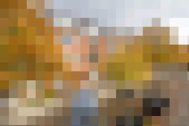 Zweedsestraat 111 B 01 Rotterdam thumbnail 35