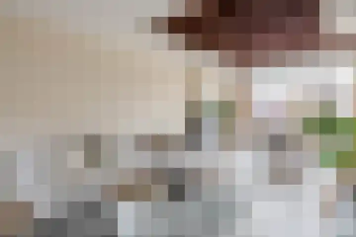 Zweedsestraat 111 B 01 Rotterdam thumbnail 8
