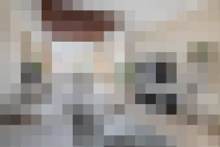 Zweedsestraat 111 B 01 Rotterdam thumbnail 9