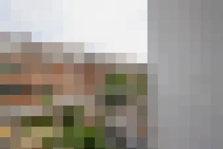Zweedsestraat 125 A 01 Rotterdam thumbnail 33
