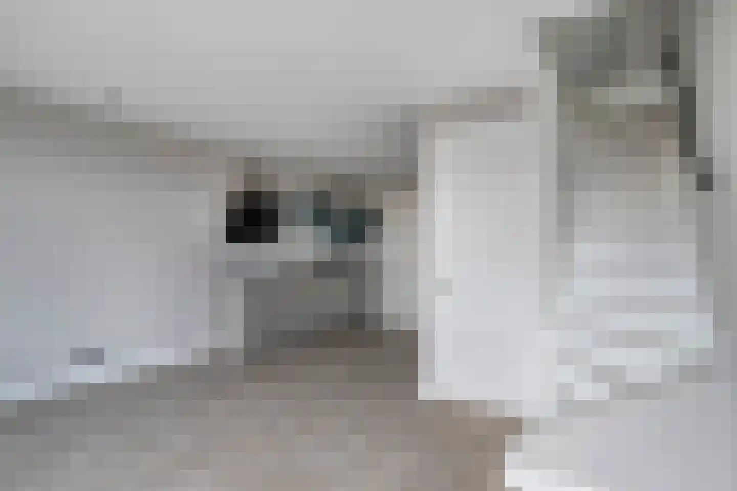 Zweedsestraat 129 A 02 Rotterdam thumbnail 8