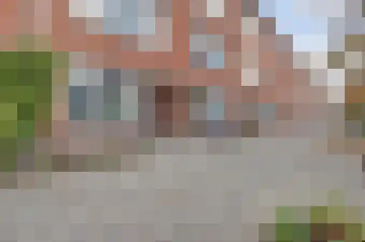 Zweedsestraat 137 A 01 Rotterdam thumbnail 6