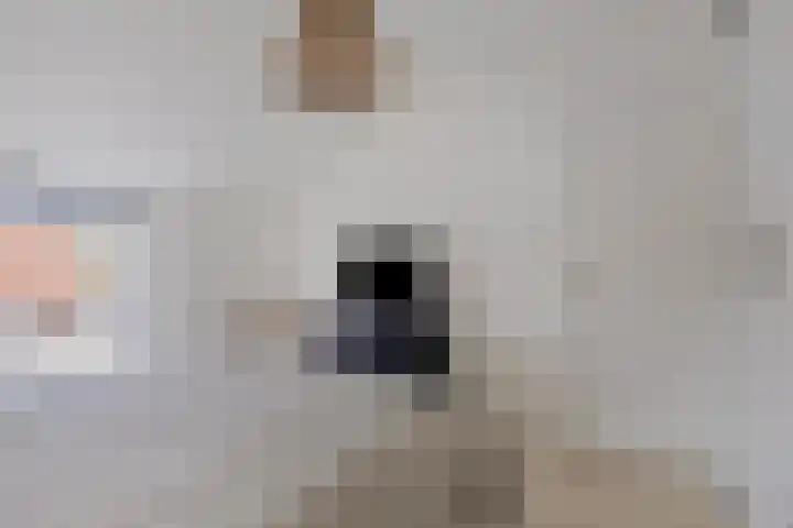Zweedsestraat 15 Ouwerkerk thumbnail 17