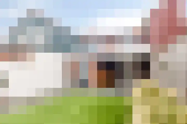 Zweedsestraat 15 Ouwerkerk thumbnail 26