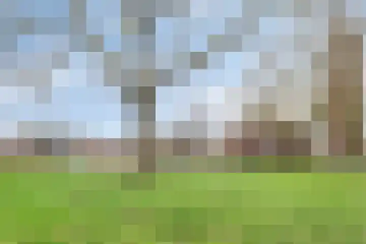 Zweedsestraat 15 Ouwerkerk thumbnail 28