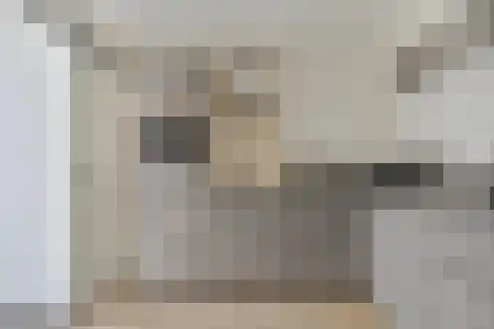 Zweedsestraat 15 Ouwerkerk thumbnail 8