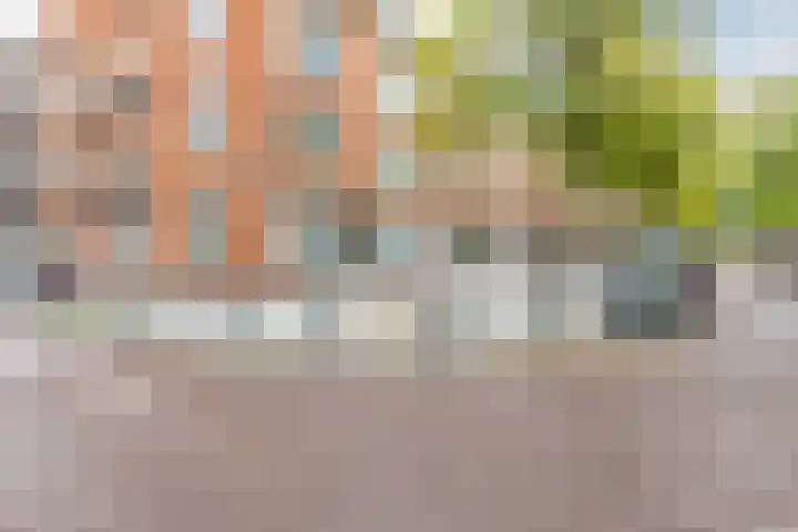 Zweedsestraat 185 B Rotterdam thumbnail 24