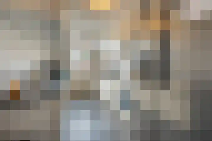Zweedsestraat 24 's-Gravendeel thumbnail 12