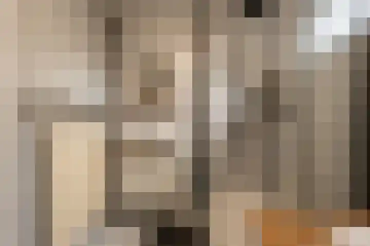 Zweedsestraat 24 's-Gravendeel thumbnail 20