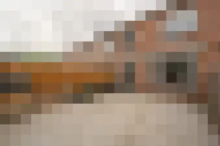 Zweedsestraat 24 's-Gravendeel thumbnail 33