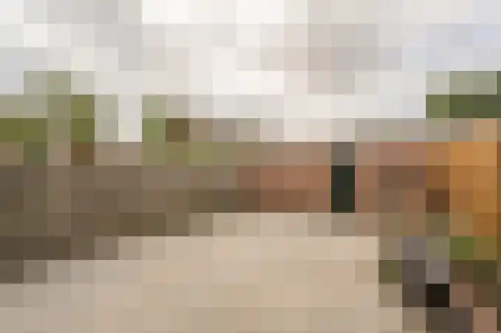Zweedsestraat 24 's-Gravendeel thumbnail 35