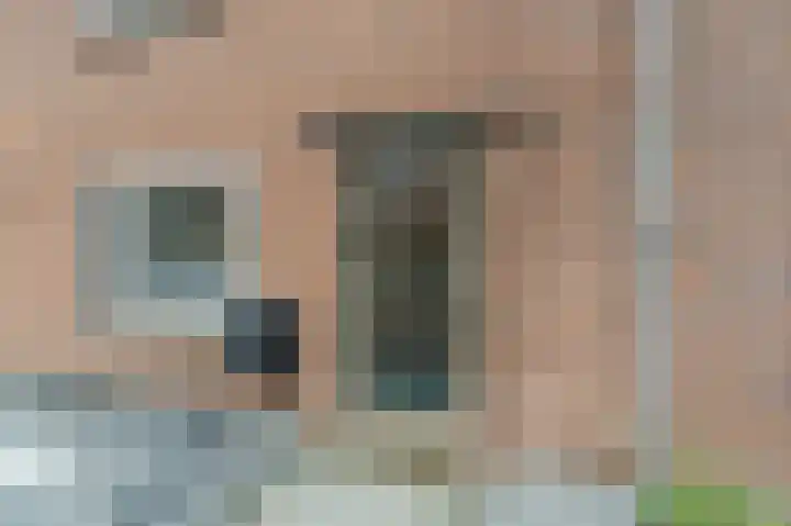 Zweedsestraat 24 's-Gravendeel thumbnail 37