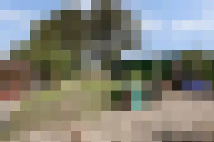 Zweedsestraat 27 's-Gravendeel thumbnail 35