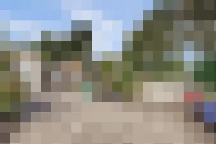 Zweedsestraat 27 's-Gravendeel thumbnail 36