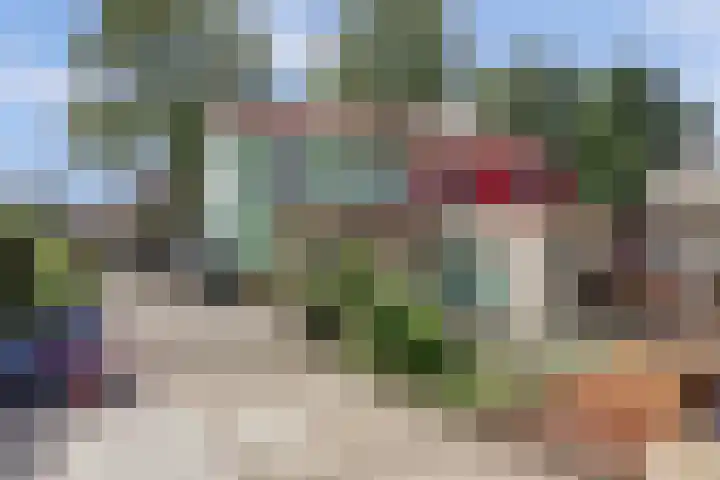 Zweedsestraat 27 's-Gravendeel thumbnail 39