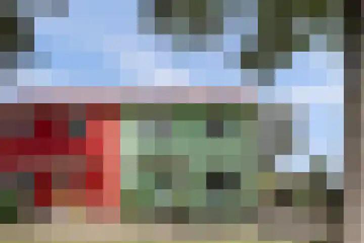 Zweedsestraat 27 's-Gravendeel thumbnail 4