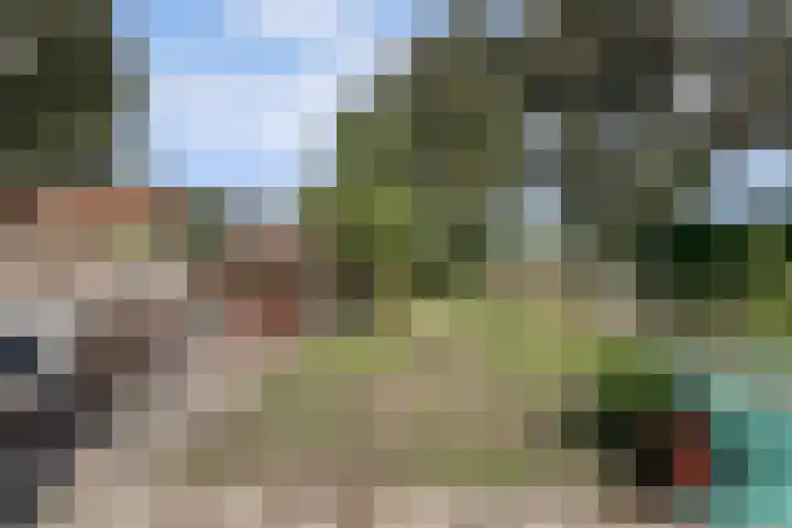 Zweedsestraat 27 's-Gravendeel thumbnail 43