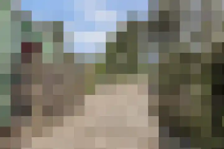 Zweedsestraat 27 's-Gravendeel thumbnail 44