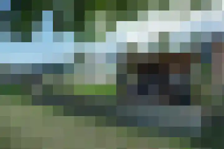 Zweedsestraat 27 's-Gravendeel thumbnail 52