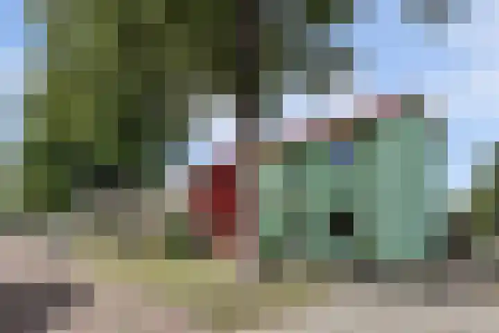 Zweedsestraat 27 's-Gravendeel thumbnail 6