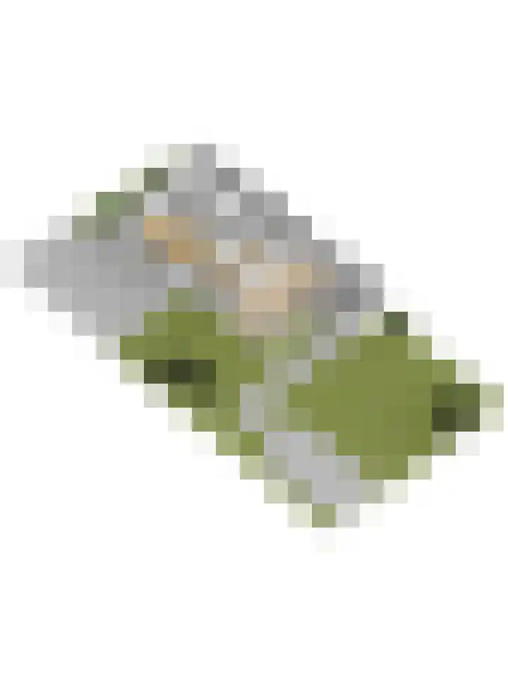 Zweedsestraat 27 's-Gravendeel thumbnail 65
