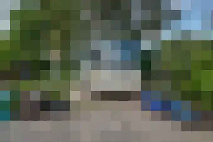 Zweedsestraat 27 's-Gravendeel thumbnail 8