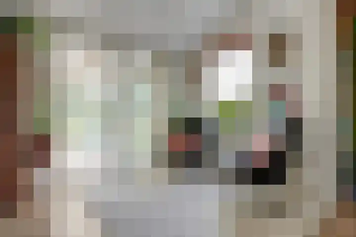 Zweedsestraat 27 's-Gravendeel thumbnail 9